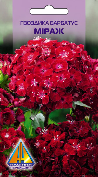 <span>Гвоздика</span>  барбатус Міраж (0.3г)