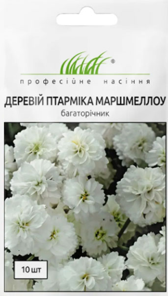 <span>Деревій</span>  (тисячолистник) птарміка  Маршмеллоу (10шт)