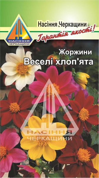 <span>Жоржини</span>  Веселі Хлоп’ята (0,3г)