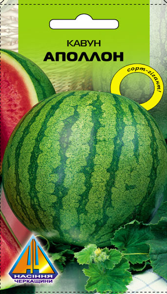 <span>Кавун</span>  Аполлон (1г), ранньостиглий, плоди 12-15кг 