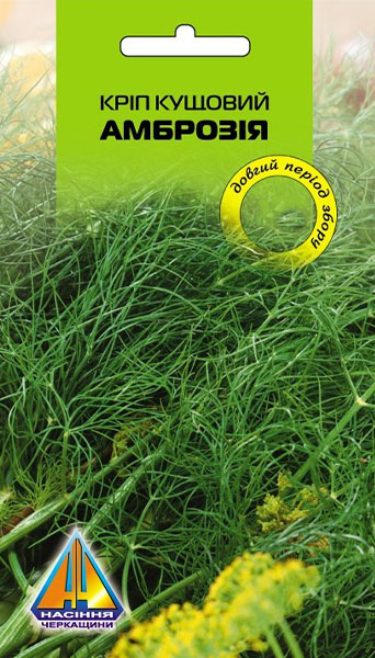 <span>Кріп</span>  Амброзія кущ типу (3г)