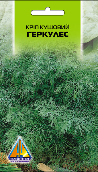 <span>Кріп</span>  Геркулес кущовий (15г)