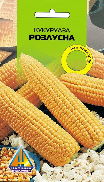 <span>Кукурудза</span>  розлусна  (10г), качан 15-20см 