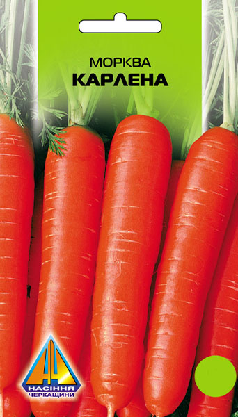 <span>Морква</span>  Карлена (5г), середньопізня, коренеплід 18-21см, масою 60-145г 