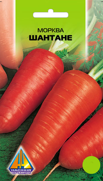 <span>Морква</span>  Шантане (10г), середньостигла, коренеплід 12-16см, діаметром 5-7см