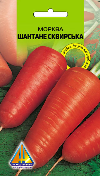 <span>Морква</span>  Шантане Сквирська (15г), середньостигла, коренеплід 12-16см, діаметром 5-7см