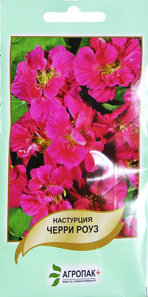 <span>Настурція</span>  Черрі Роуз (2г)