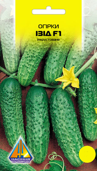 <span>Огірки</span>  Ізід F1 інк (1г), пізньостиглий гібрид для відкритого ґрунту, плоди 9-12см 