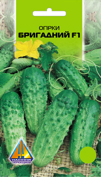 <span>Огірки</span>  Бригадний F1 (1г)