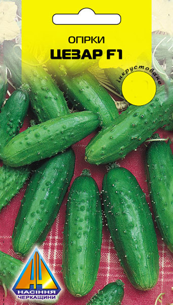 <span>Огірки</span>  Цезар F1 інк (20шт)