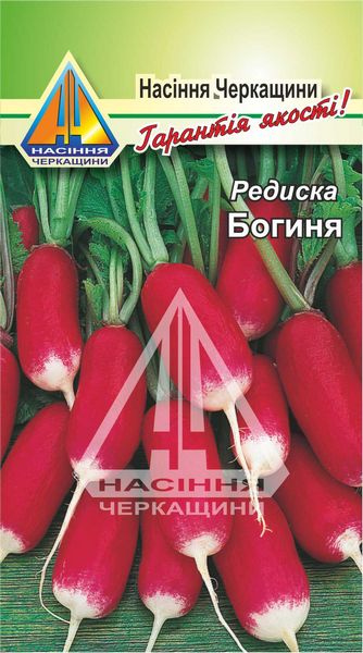 <span>Редиска</span>  Богиня (15г), ранньостигла, коренеплоди масою 20-30г