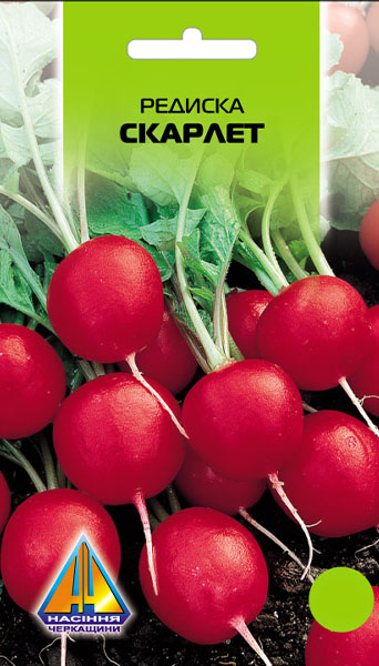 <span>Редиска</span>  Скарлет (5г), ранньостигла, коренеплоди масою 20-26г