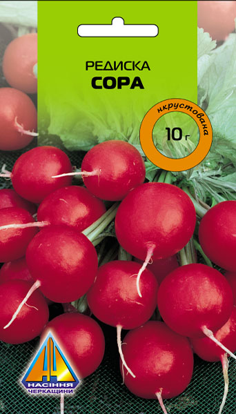 <span>Редиска</span>  Сора інк (10г), ранньостигла, коренеплоди масою 20-25г