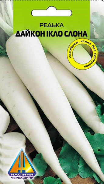 <span>Редька</span>  Дайкон Ікло Слона (2г), пізньостиглий, коренеплід масою 400-900г