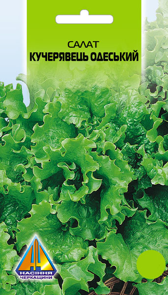<span>Салат</span>  листковий Кучерявець Одеський (10г), середньостиглий