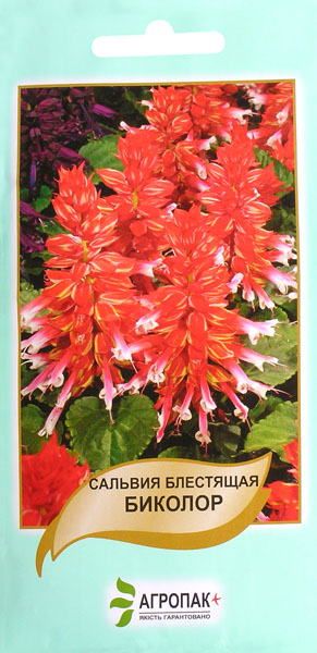 <span>Сальвія</span>  Біколор блискуча (0.2г)