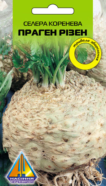 <span>Селера</span>  коренева Праген ризен (0.3г), середньопізня, коренеплоди масою 300-400г