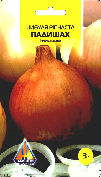 <span>Цибуля</span>  Падишах (3г), середньопізня, цибулини вагою 100-140г