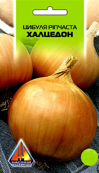 <span>Цибуля</span>  Халцедон (10г), середньостигла, цибулини вагою 85-135г