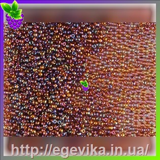 рисунок бисер 11110 / 746