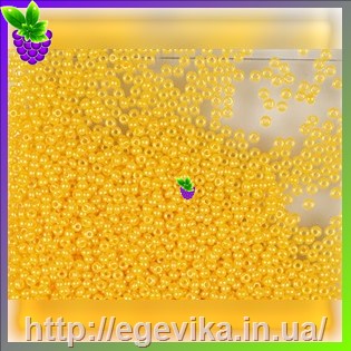 рисунок бисер 17383 / 507