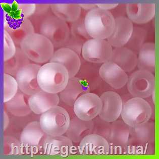 рисунок бисер 38394м / 646