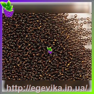 рисунок бисер 17140к / 467