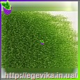 Чешский бисер Preciosa 50430