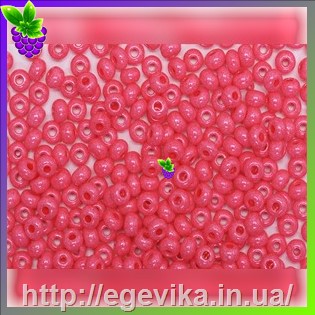 рисунок бисер 16398 / 581