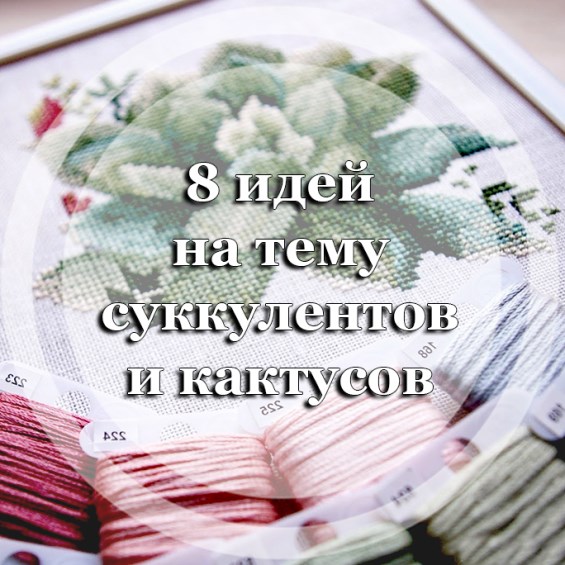 8 идей на тему суккулентов и кактусов