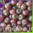Чешский бисер Preciosa 97120м