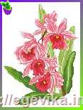 Схема, частичная вышивка бисером, атлас/габардин, "Розовая орхидея"