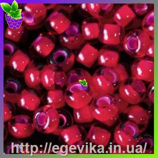 рисунок бисер 90077а