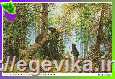 Схема, полная вышивка бисером, атлас, "Утро в сосновом лесу" (картина художников Ивана Шишкина и Константина Савицкого)
