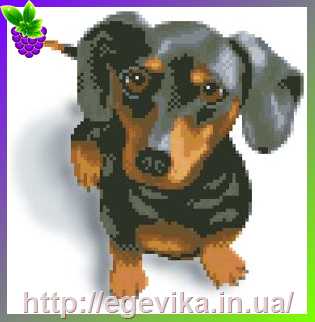 рисунок Схема, частичная вышивка бисером, атлас,  Собака породы такса